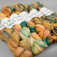 Load image into Gallery viewer, Dyed in the Wool Spincycle