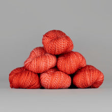 Load image into Gallery viewer, Dyed in the Wool Spincycle