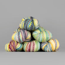 Load image into Gallery viewer, Dyed in the Wool Spincycle