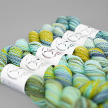 Load image into Gallery viewer, Dyed in the Wool Spincycle