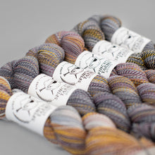 Load image into Gallery viewer, Dyed in the Wool Spincycle