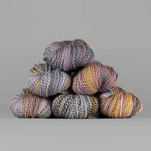 Load image into Gallery viewer, Dyed in the Wool Spincycle