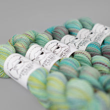 Load image into Gallery viewer, Dyed in the Wool Spincycle
