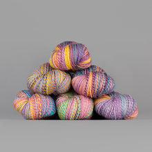 Load image into Gallery viewer, Dyed in the Wool Spincycle