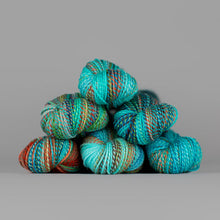 Load image into Gallery viewer, Dyed in the Wool Spincycle