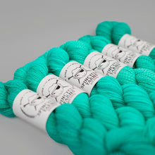 Load image into Gallery viewer, Dyed in the Wool Spincycle