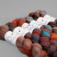 Load image into Gallery viewer, Dyed in the Wool Spincycle