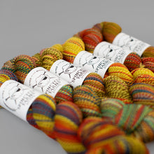 Load image into Gallery viewer, Dyed in the Wool Spincycle