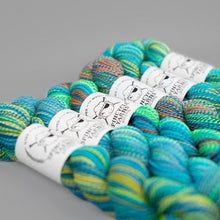 Load image into Gallery viewer, Dyed in the Wool Spincycle