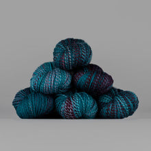 Load image into Gallery viewer, Dyed in the Wool Spincycle