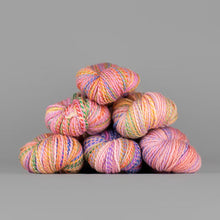 Load image into Gallery viewer, Dyed in the Wool Spincycle