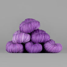 Load image into Gallery viewer, Dyed in the Wool Spincycle