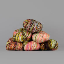 Load image into Gallery viewer, Dyed in the Wool Spincycle