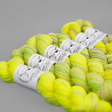 Load image into Gallery viewer, Dyed in the Wool Spincycle