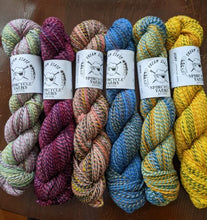 Load image into Gallery viewer, Spincycle Dream State set of 6 Bundles