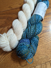 Load image into Gallery viewer, Pressed Flowers Cowl Yarn Kit