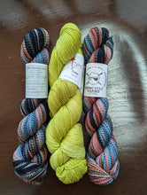 Load image into Gallery viewer, Alpine bloom Yarn Packs