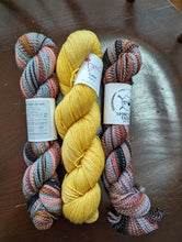 Load image into Gallery viewer, Alpine bloom Yarn Packs