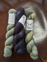 Load image into Gallery viewer, Alpine bloom Yarn Packs