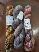 Load image into Gallery viewer, Alpine bloom Yarn Packs