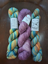 Load image into Gallery viewer, Alpine bloom Yarn Packs