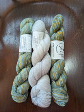 Load image into Gallery viewer, Alpine bloom Yarn Packs