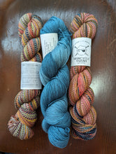 Load image into Gallery viewer, Alpine bloom Yarn Packs