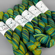 Load image into Gallery viewer, Dyed in the Wool Spincycle