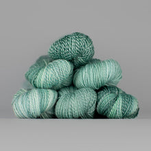 Load image into Gallery viewer, Dyed in the Wool Spincycle