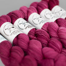 Load image into Gallery viewer, Dyed in the Wool Spincycle