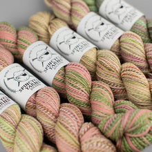 Load image into Gallery viewer, Dyed in the Wool Spincycle