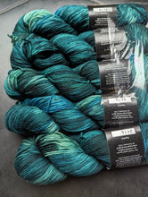 Load image into Gallery viewer, LYS day 2024 Wonderland Yarns