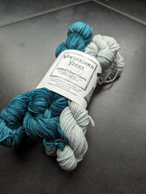 Load image into Gallery viewer, LYS day 2024 Wonderland Yarns