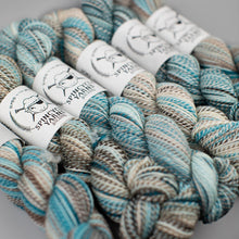 Load image into Gallery viewer, Dyed in the Wool Spincycle