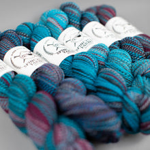 Load image into Gallery viewer, Dyed in the Wool Spincycle