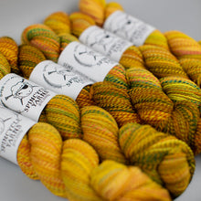 Load image into Gallery viewer, Dyed in the Wool Spincycle