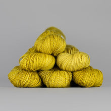 Load image into Gallery viewer, Dyed in the Wool Spincycle