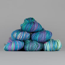 Load image into Gallery viewer, Dyed in the Wool Spincycle
