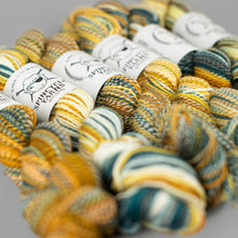 Load image into Gallery viewer, Dyed in the Wool Spincycle
