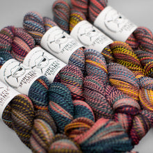 Load image into Gallery viewer, Dyed in the Wool Spincycle