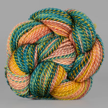 Load image into Gallery viewer, Dyed in the Wool Spincycle