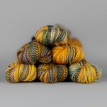 Load image into Gallery viewer, Dyed in the Wool Spincycle