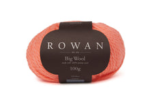 Load image into Gallery viewer, Rowan Big Wool