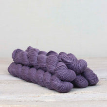 Load image into Gallery viewer, Amble 25g Mini Skeins