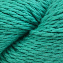 Load image into Gallery viewer, Blue Sky Organic Worsted Cotton