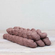 Load image into Gallery viewer, Amble 25g Mini Skeins