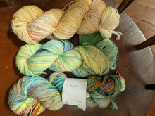 Load image into Gallery viewer, Summer Sorrel Yarn Packs