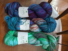 Load image into Gallery viewer, Summer Sorrel Yarn Packs