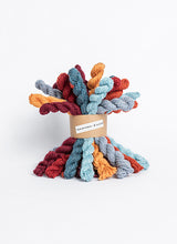 Load image into Gallery viewer, Blue Sky Fibers Woolstok bundles