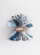 Load image into Gallery viewer, Blue Sky Fibers Woolstok bundles